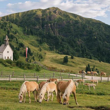 Zallinger Dolomites アルペ・ディ・シウージ エクステリア 写真