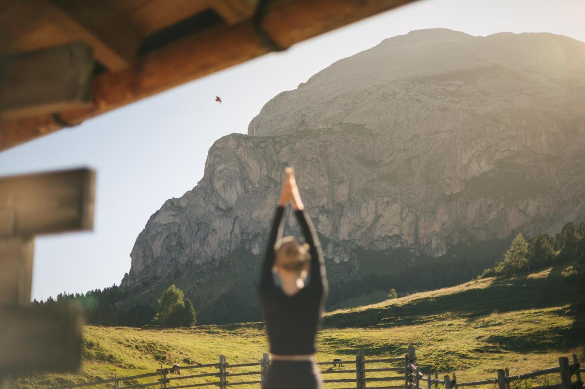 Zallinger Dolomites アルペ・ディ・シウージ エクステリア 写真