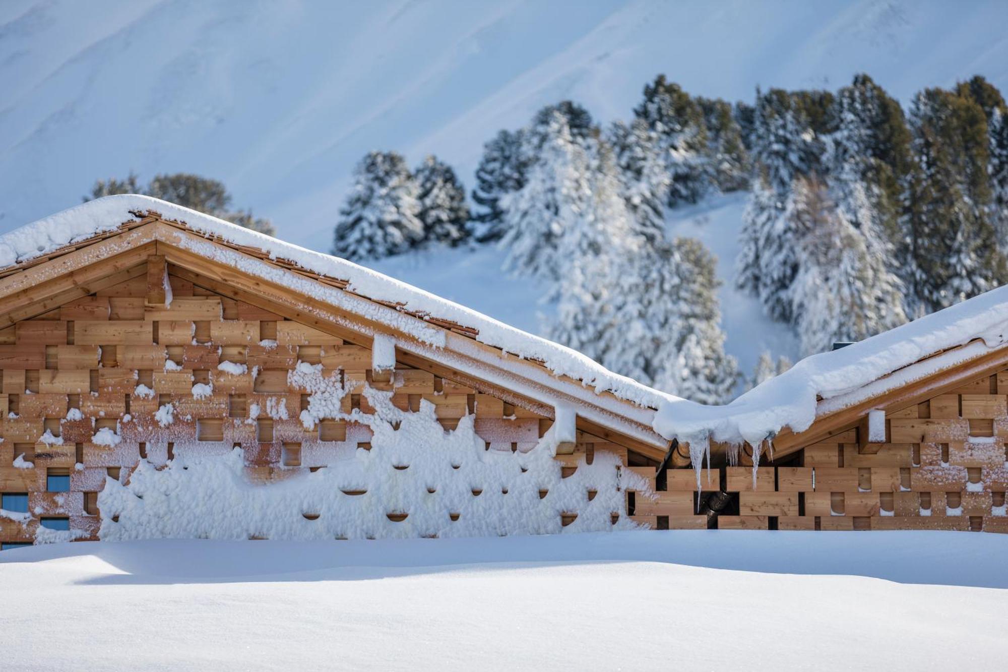 Zallinger Dolomites アルペ・ディ・シウージ エクステリア 写真