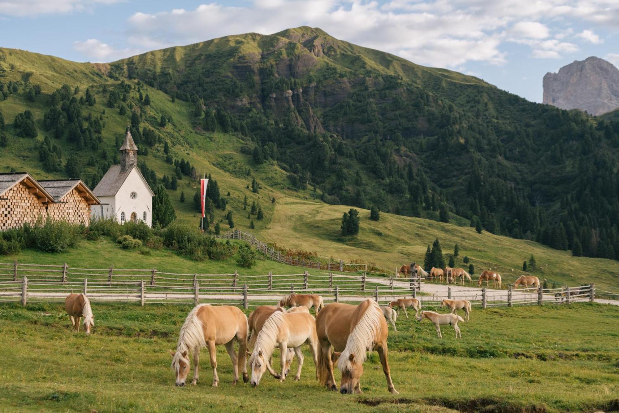 Zallinger Dolomites アルペ・ディ・シウージ エクステリア 写真